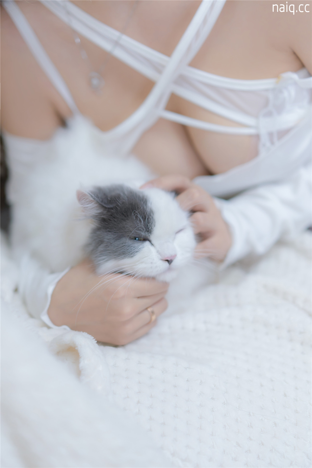 过期米线线喵 - 我和猫 [90P-114MB] - 奶圈