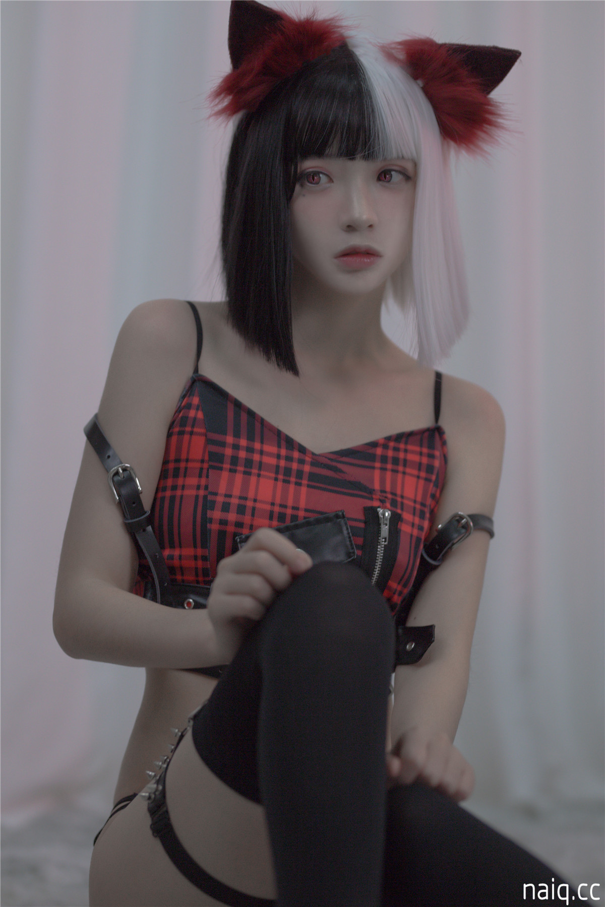疯猫ss - 红黑耳 [40P-566MB] - 奶圈