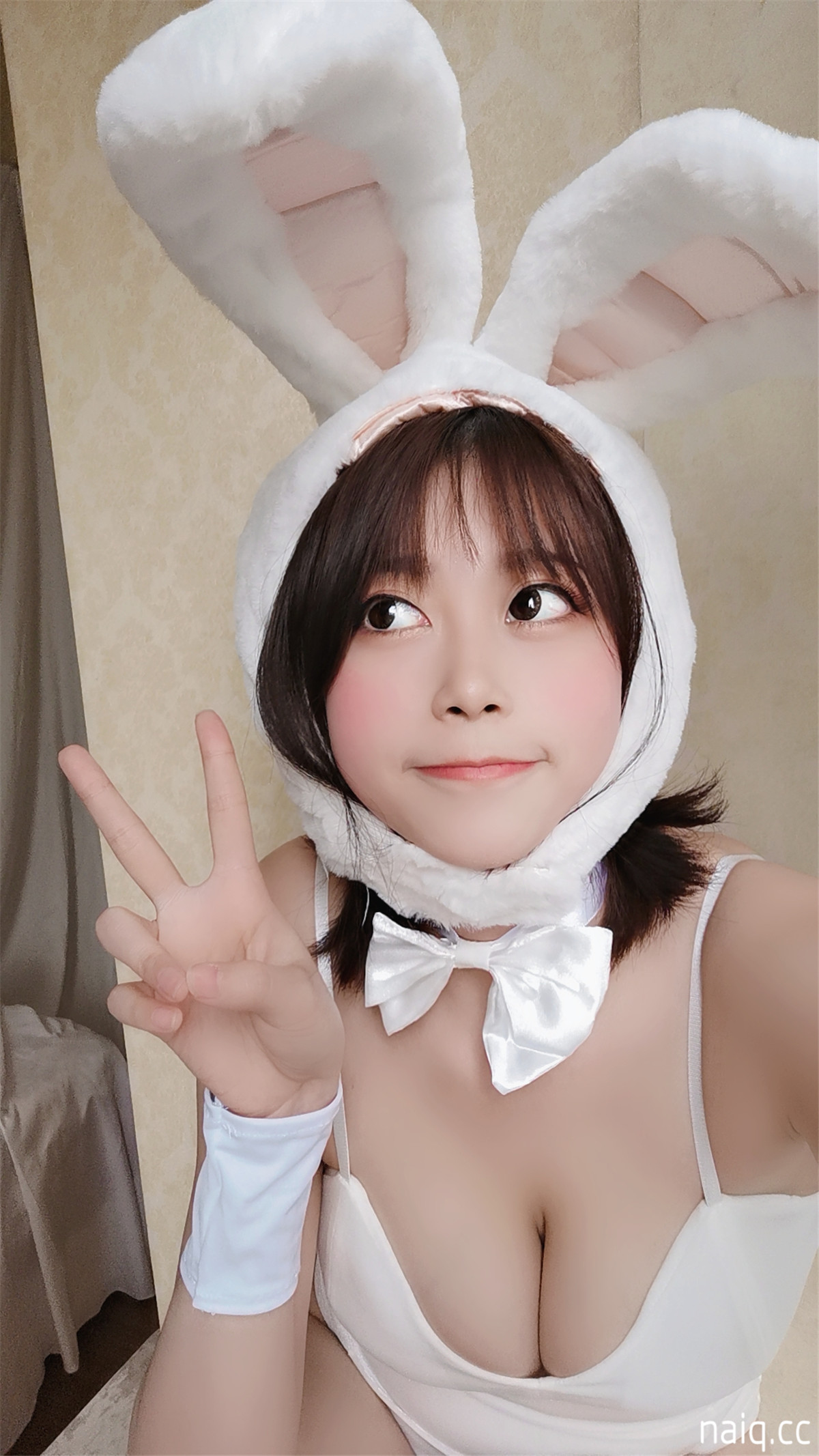 41