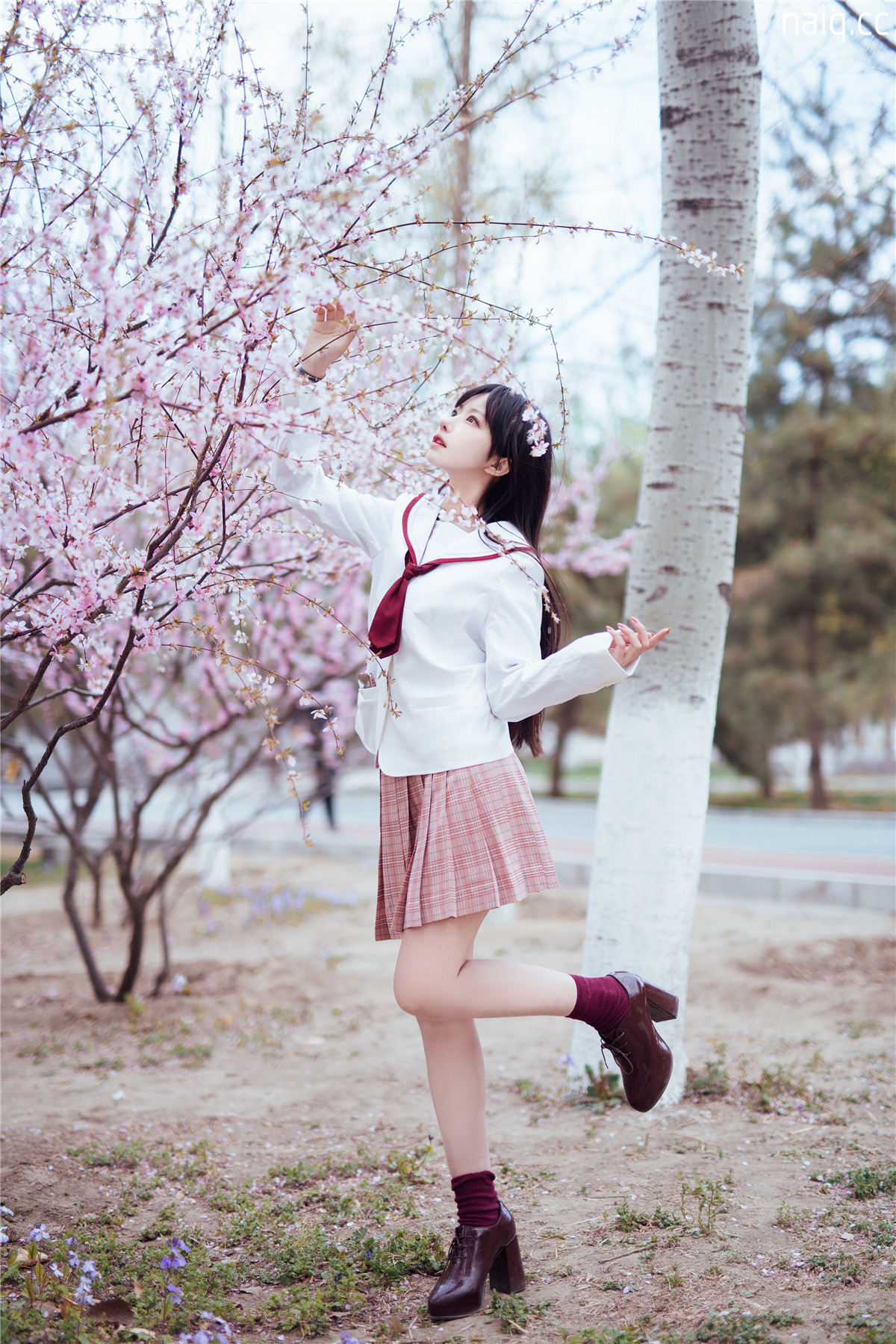 \u5976\u5708naiq.cc-003