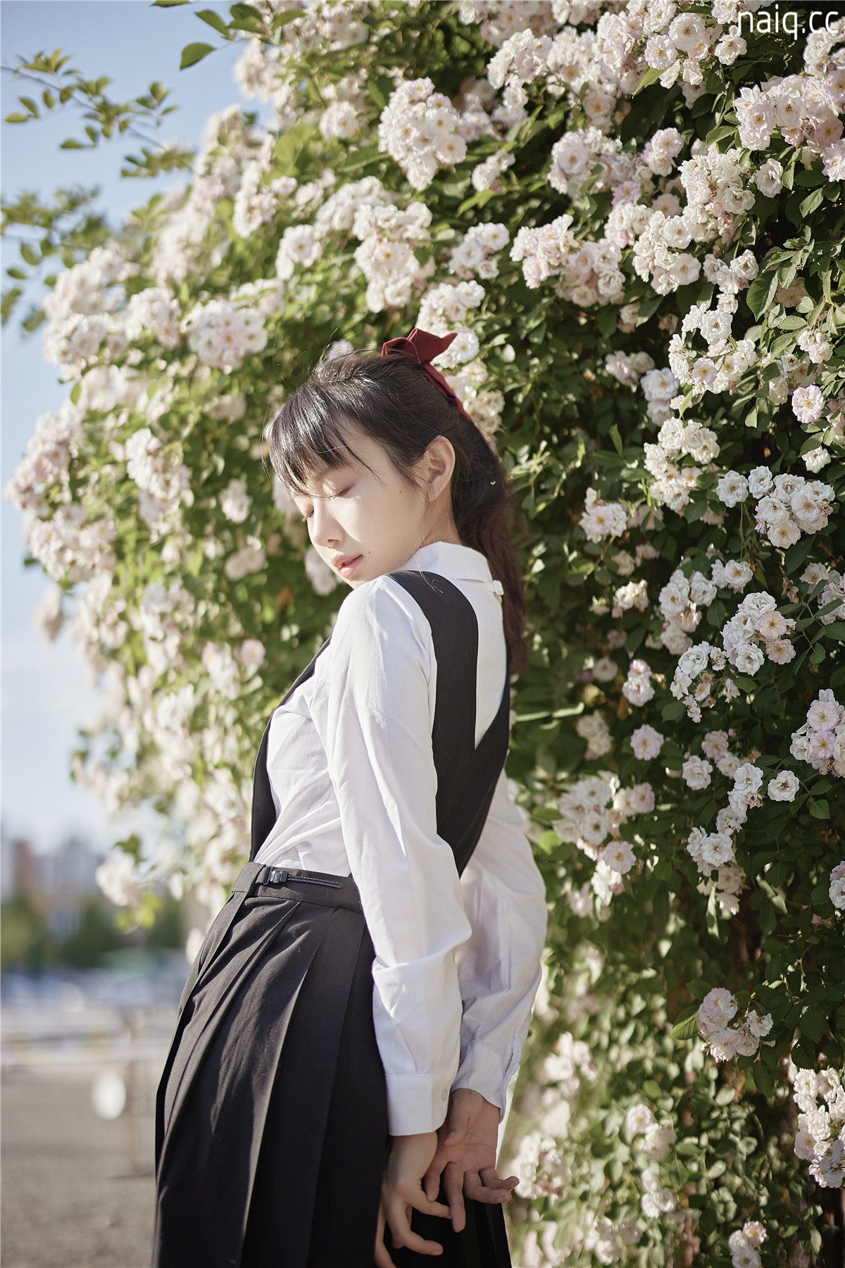 Shika小鹿鹿 - 蔷薇JK [14P-198MB] - 奶圈