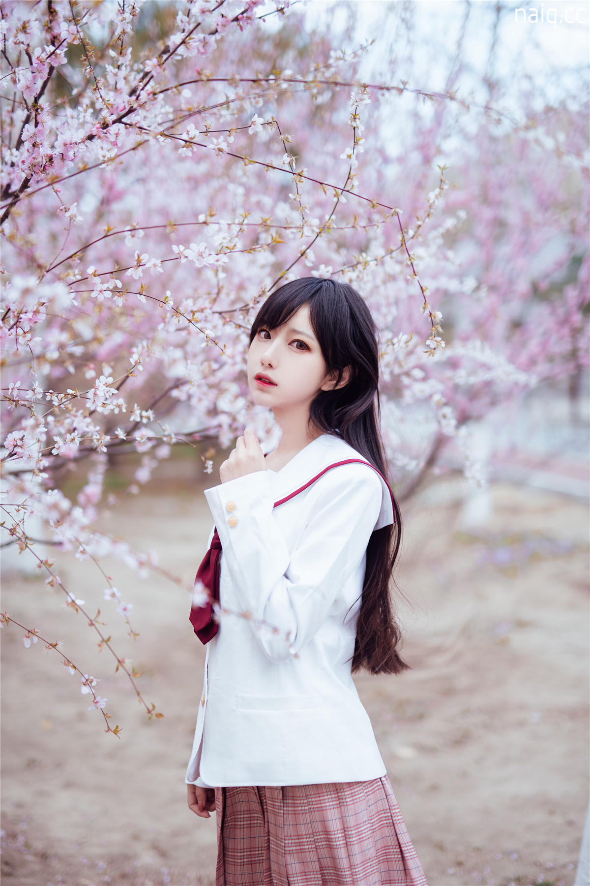 Shika小鹿鹿 - 樱花 [13P-92MB] - 奶圈