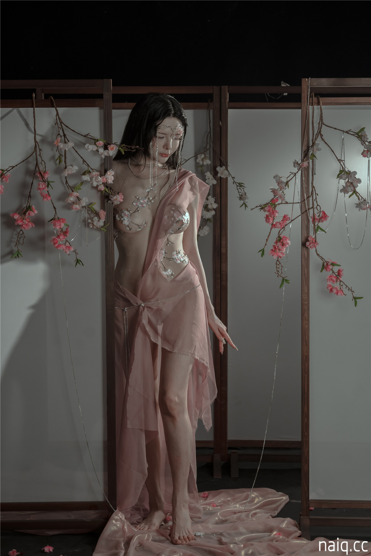 秋和柯基 - 粉 桃花神 [34P1V-639MB] - 奶圈