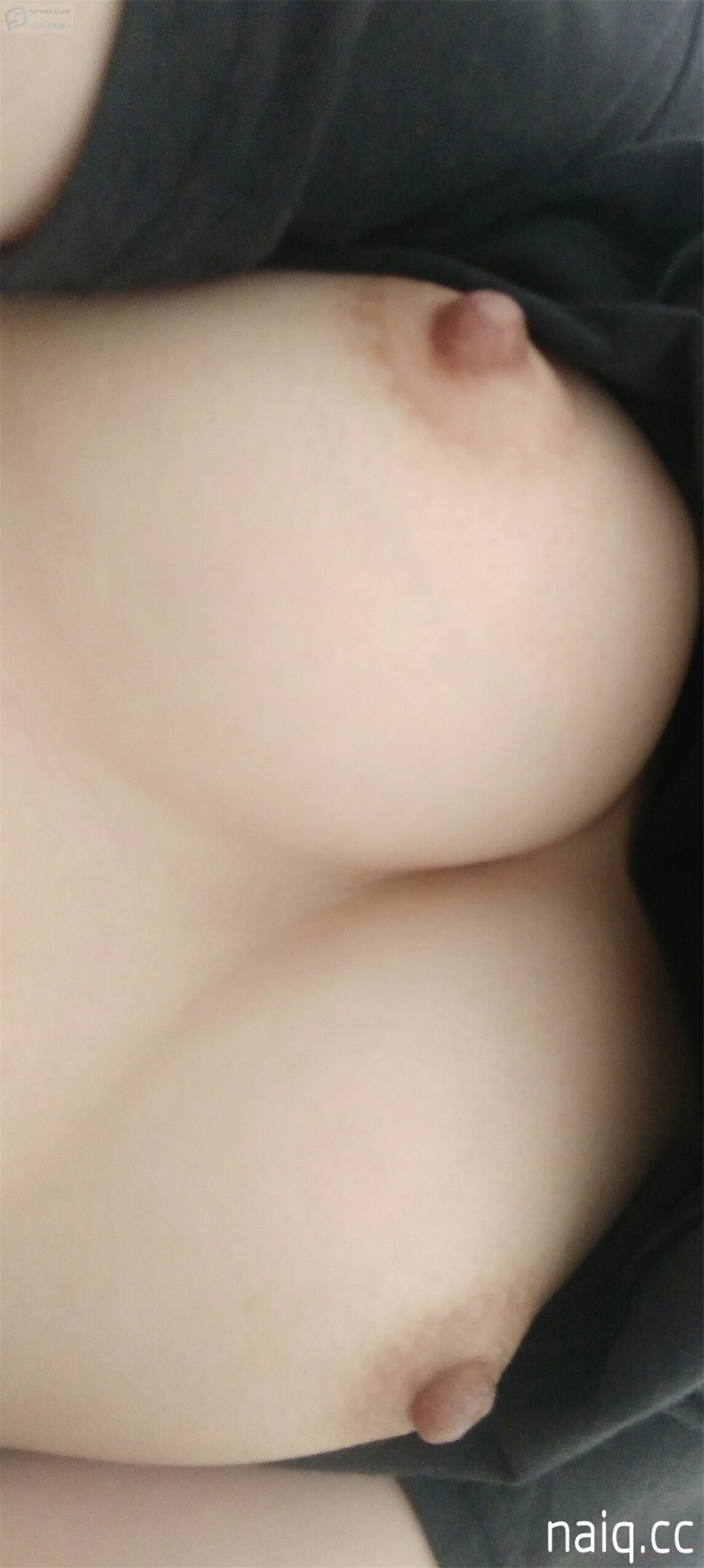 \u5976\u5708naiq.cc-017