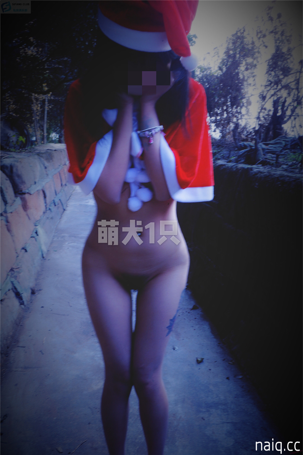萌犬一只 - 圣诞图包 18p [18P-76.39 MB] - 奶圈