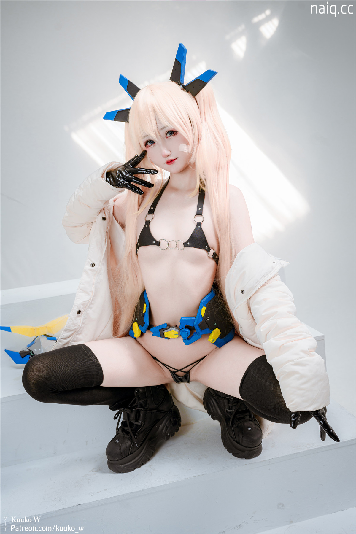 Kuuko_W - Hero Laplace NIKKE [22P-235MB] - 奶圈