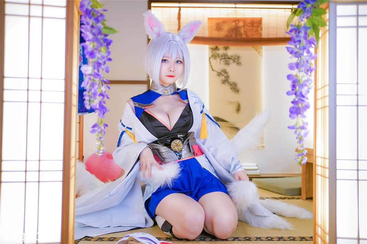 Arty亚缇 - Kaga [20P-8MB] - 奶圈