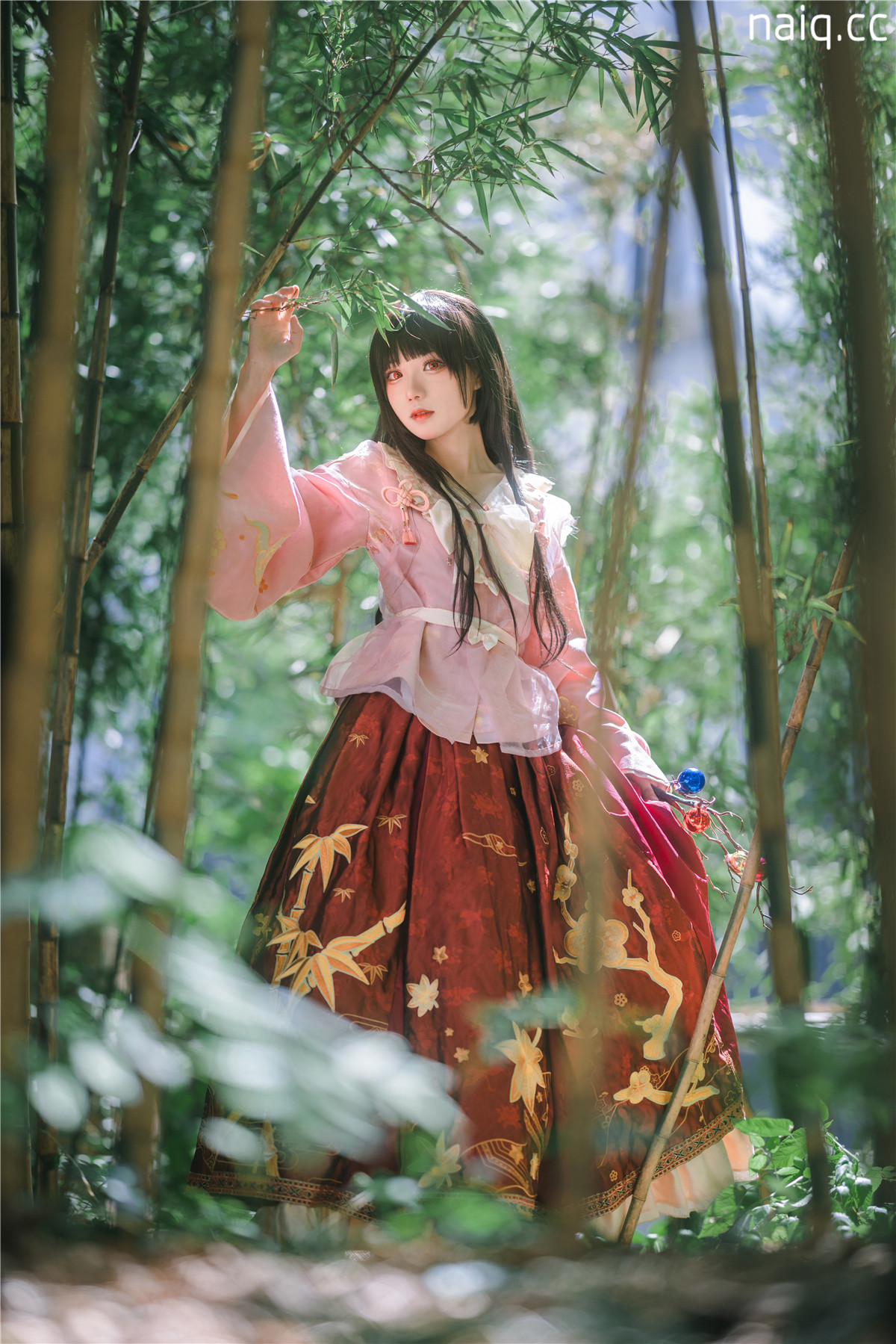 花柒Hana - 蓬莱山辉夜 [11P-219MB] - 奶圈