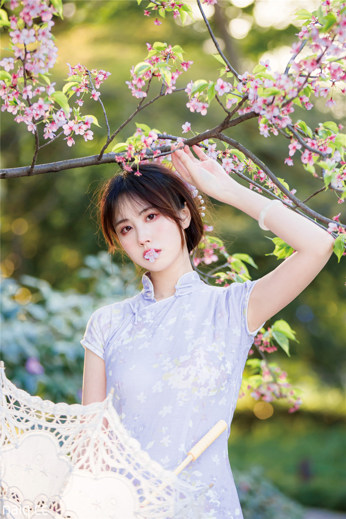 念雪ww - 旗袍 [38P-377MB] - 奶圈