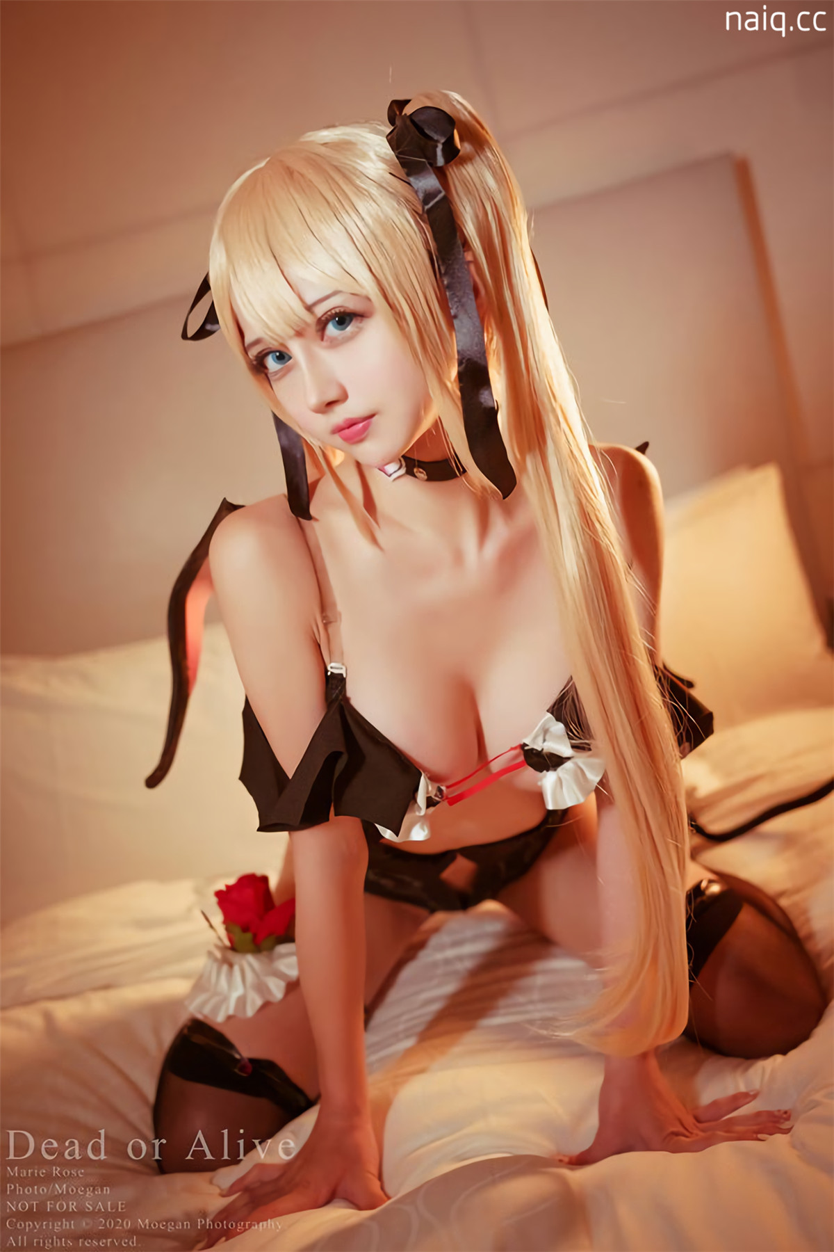 \u5976\u5708naiq.cc-006