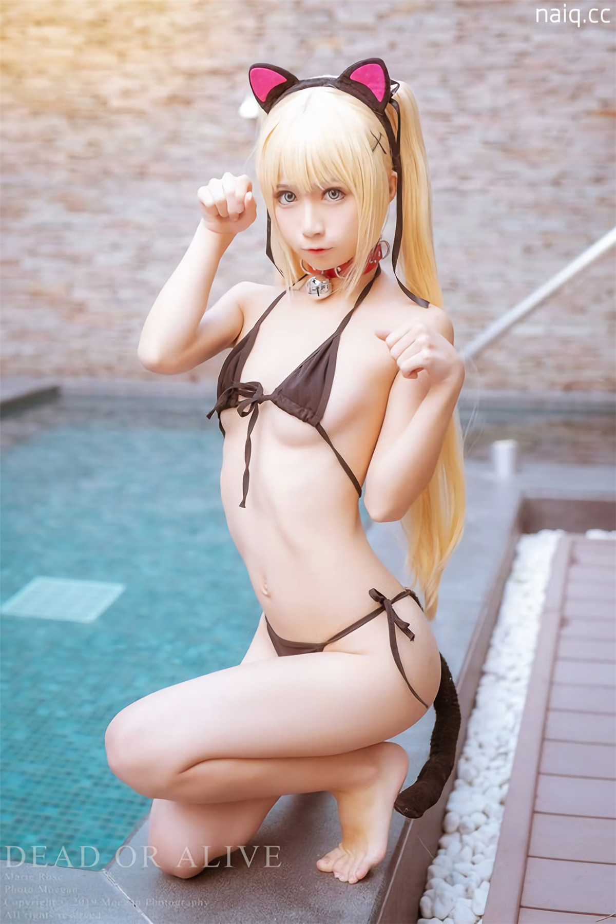 \u5976\u5708naiq.cc-008