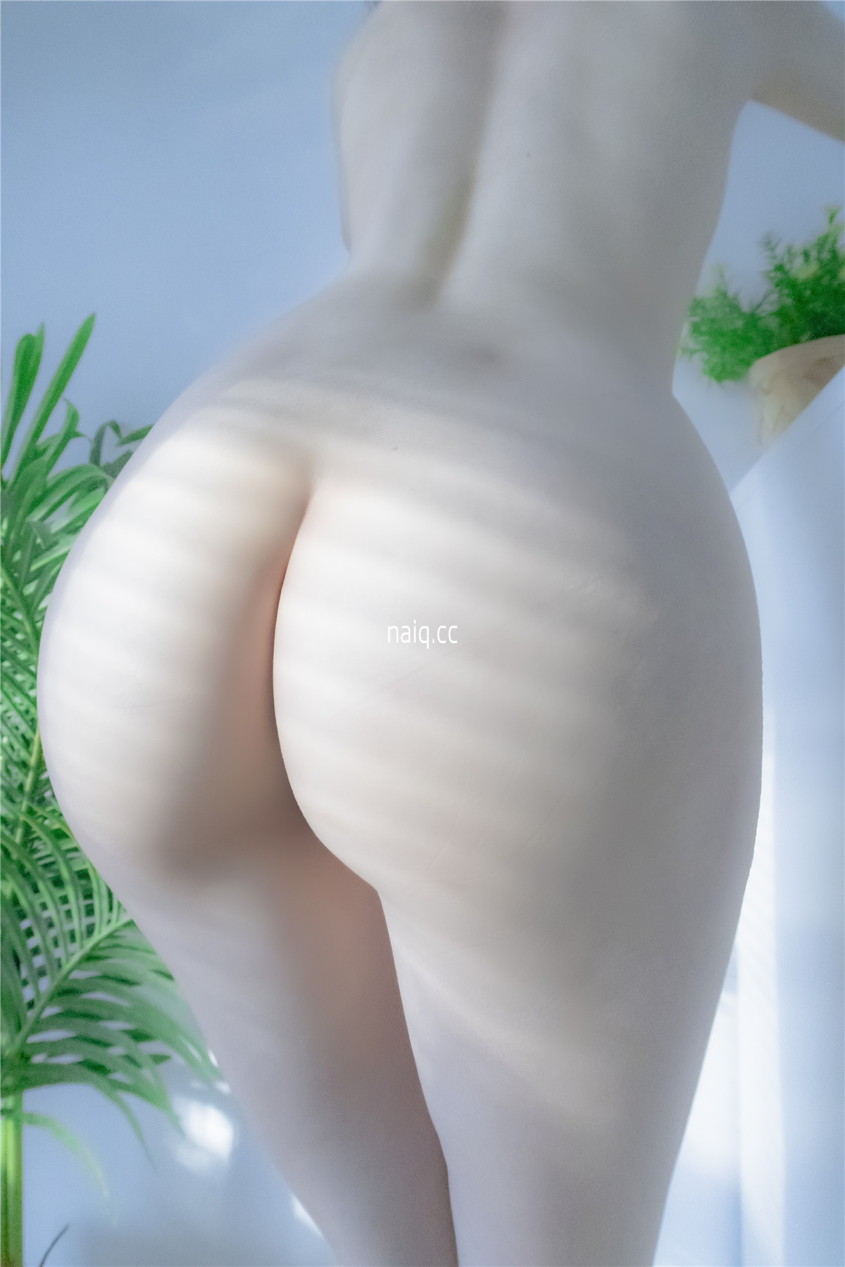 \u5976\u5708naiq.cc-004