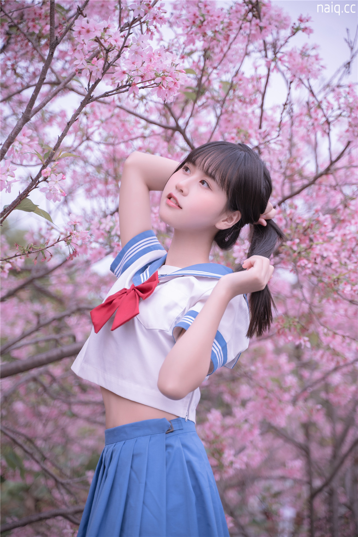 萌芽儿o0 - 樱花jk [31P-426MB] - 奶圈