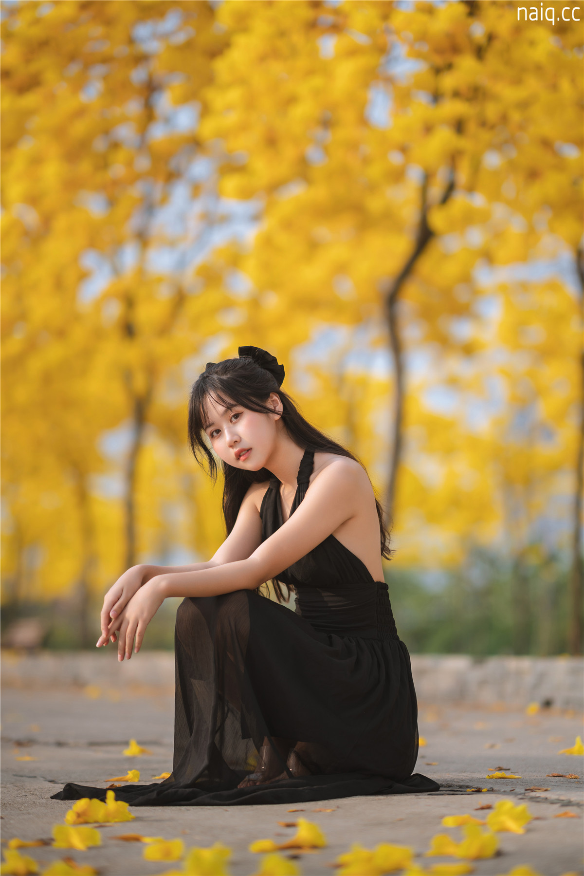 萌芽儿o0 - 秋有银杏 春有黄风铃 [24P-336MB] - 奶圈