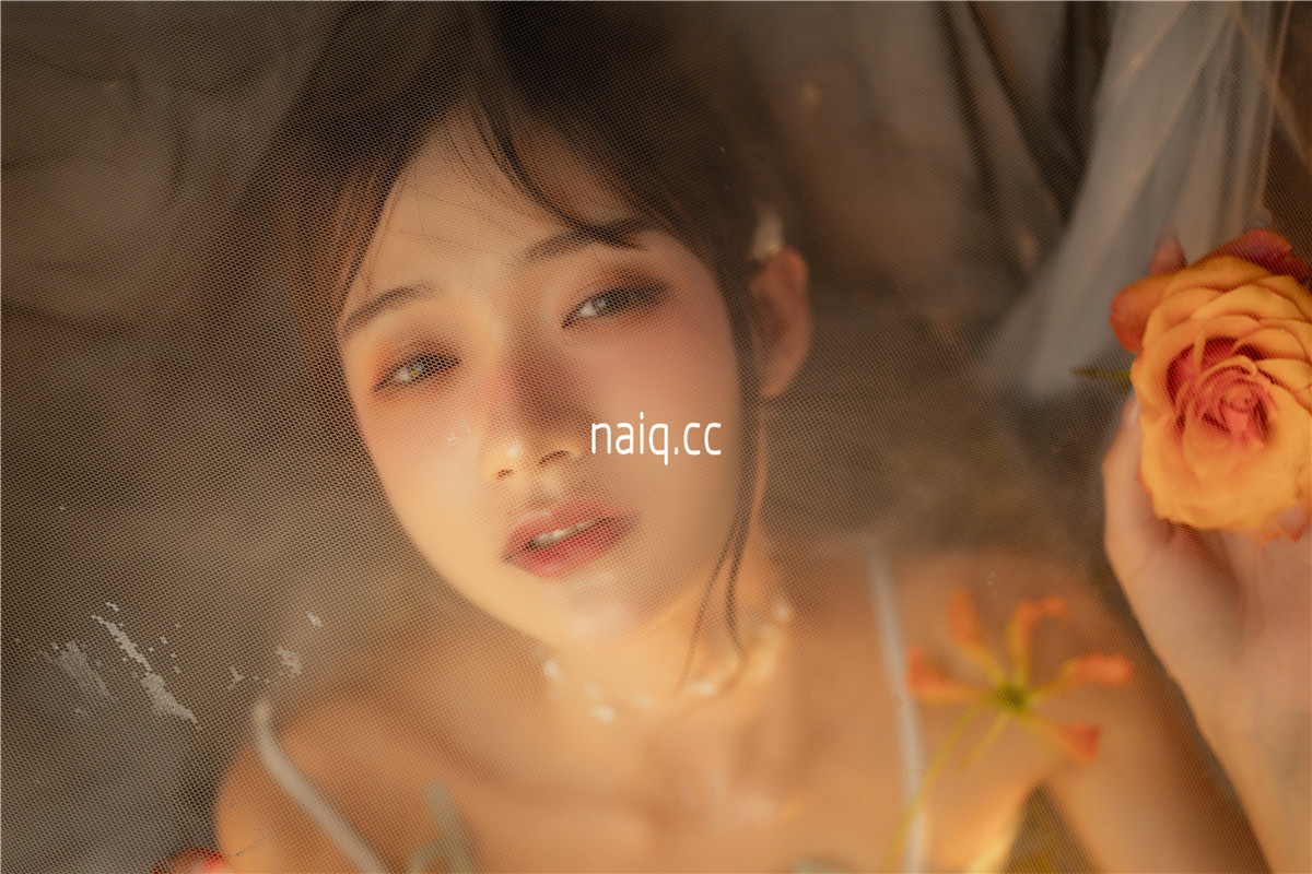 兔子Zzz不吃胡萝卜 - 梦莲 [30P-377MB] - 奶圈