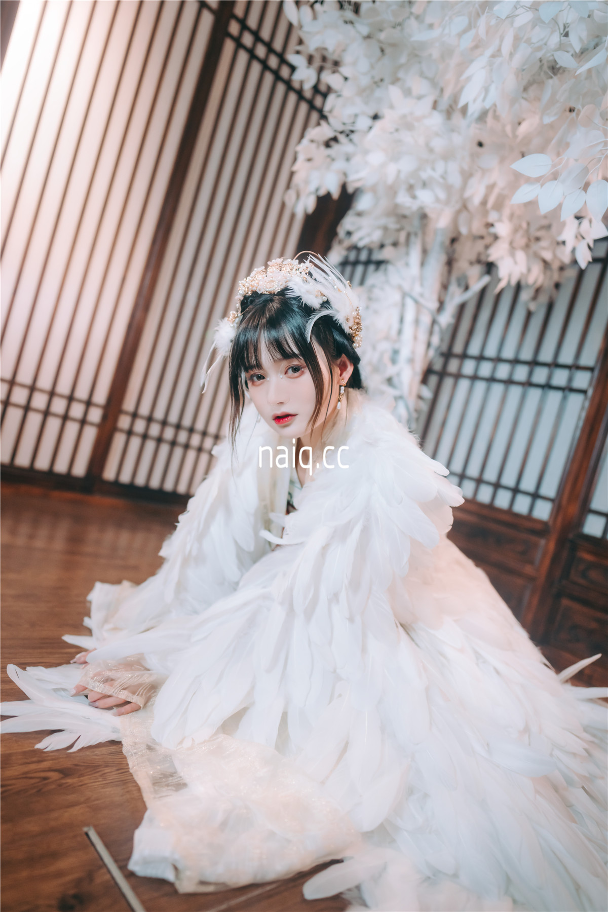 兔子Zzz不吃胡萝卜 - 吉祥鸟 [21P-153MB] - 奶圈