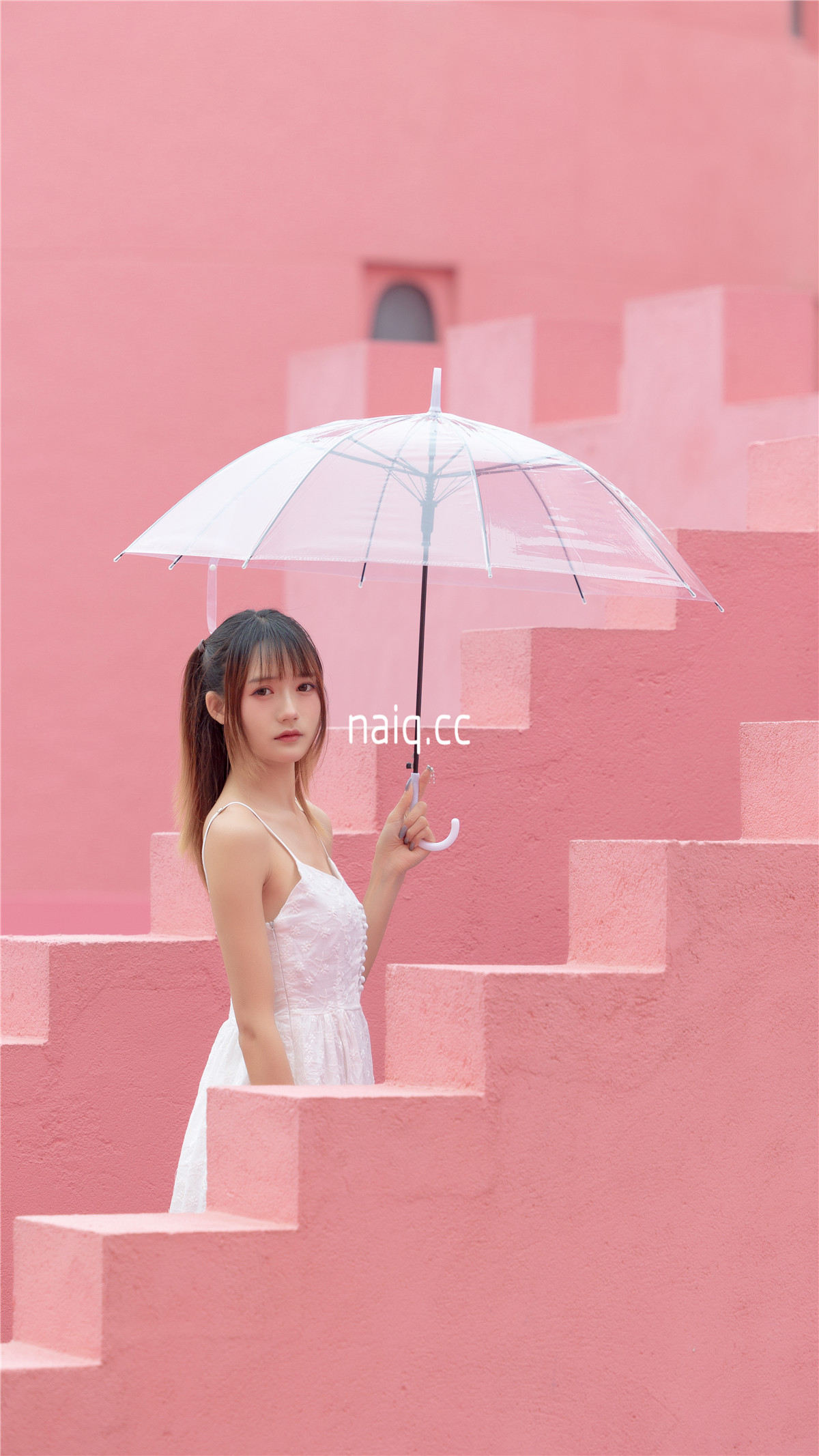 兔子Zzz不吃胡萝卜 - 彩色迷宫 [31P-327MB] - 奶圈