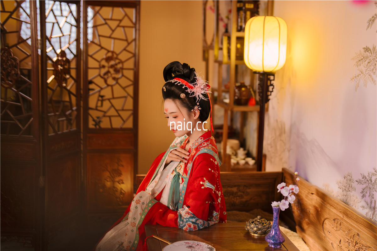 兔子Zzz不吃胡萝卜 - 不负梦华 [22P-274MB] - 奶圈