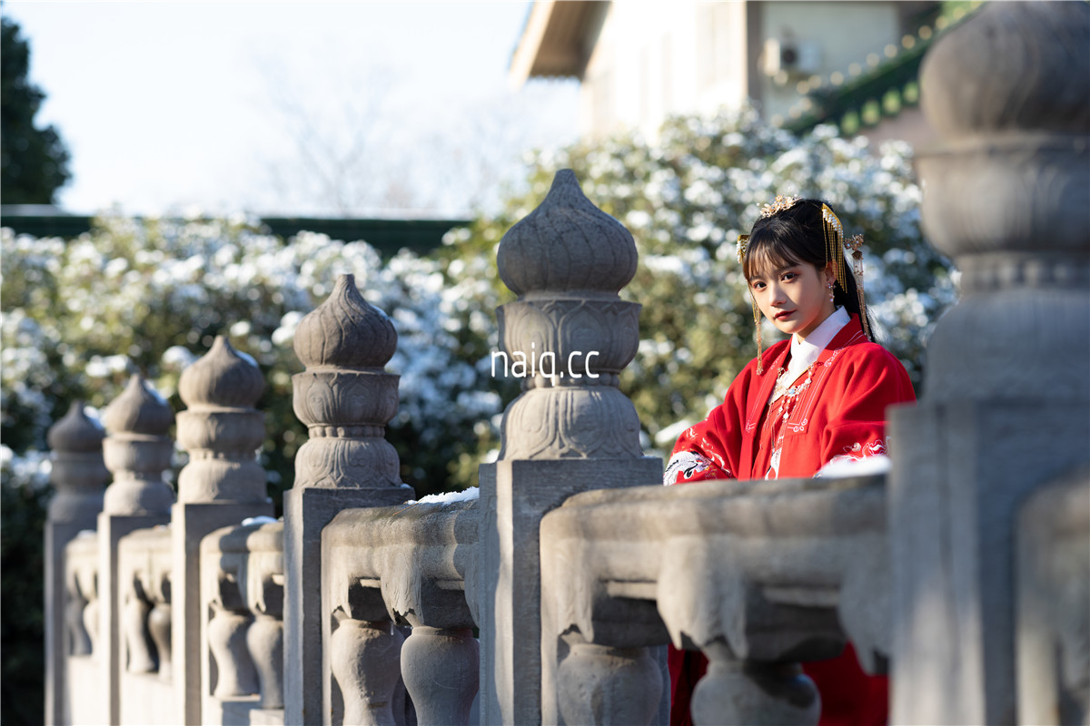 兔子Zzz不吃胡萝卜 - 深宫雪 [27P-260MB] - 奶圈