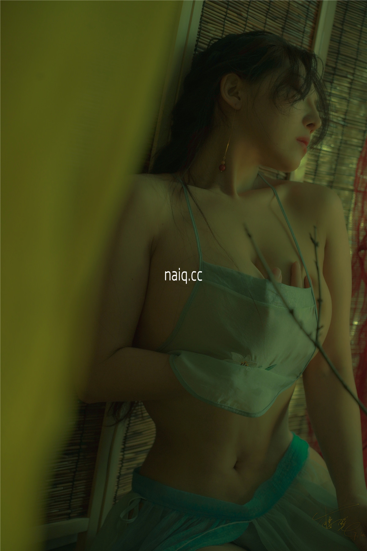 \u5976\u5708naiq.cc-021