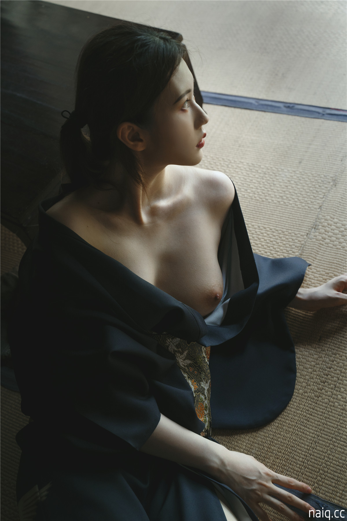 摄影师翎梵 - 熙涵-和风物志 [28P-222MB] - 奶圈