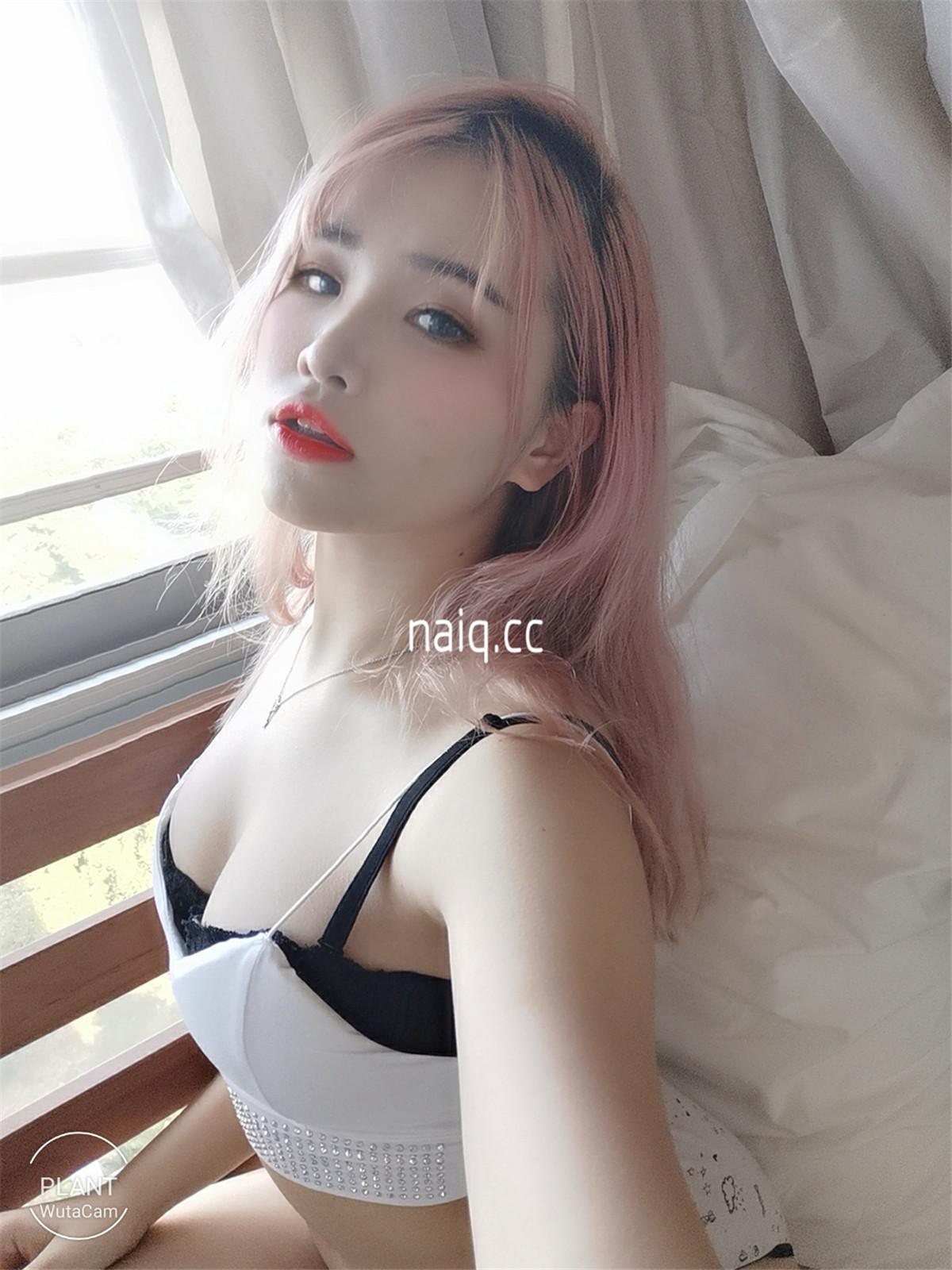 花リリ(Plant Lily) - Plant Lily [63P-44MB] - 奶圈