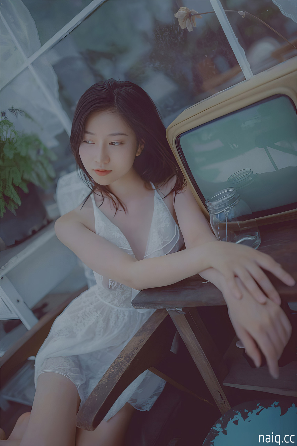 年年 - 青青子衿 [27P-95MB] - 奶圈