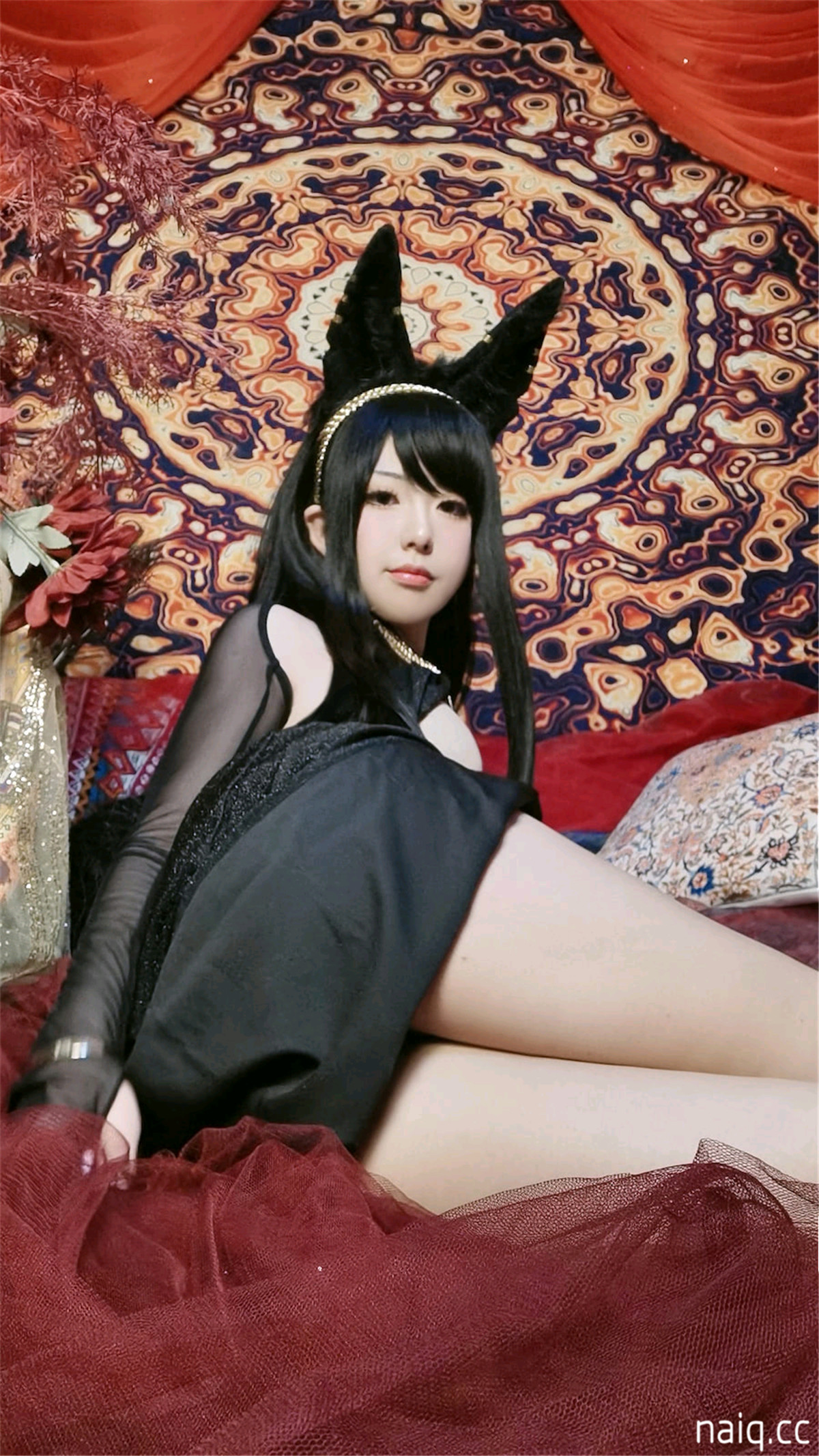虎森森 - 阿努比斯 [88P3V-142MB] - 奶圈
