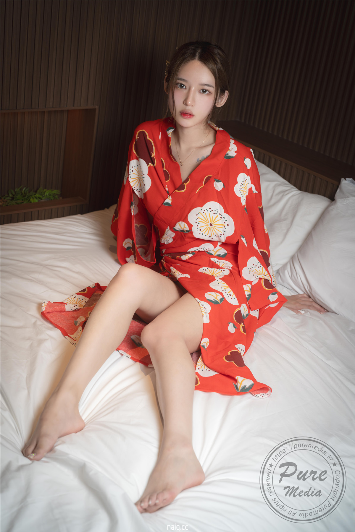 Yeha - Pure Media Vol.255 Geisha's Invitation 'epilogue [161P-313MB] - 奶圈