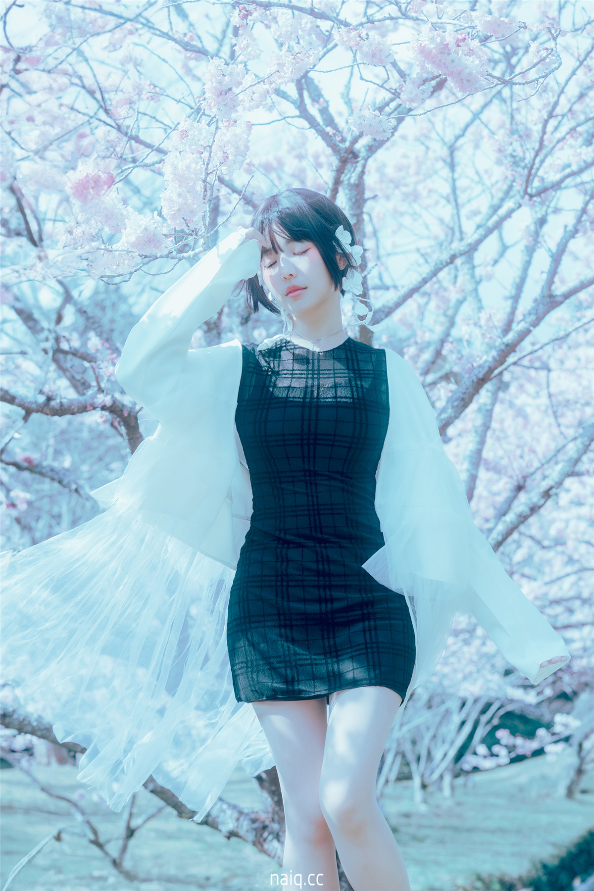 ElyEE子 - 2024.April-Tier A.17°C Pink Sakura17°C粉櫻 [43P-136MB] - 奶圈