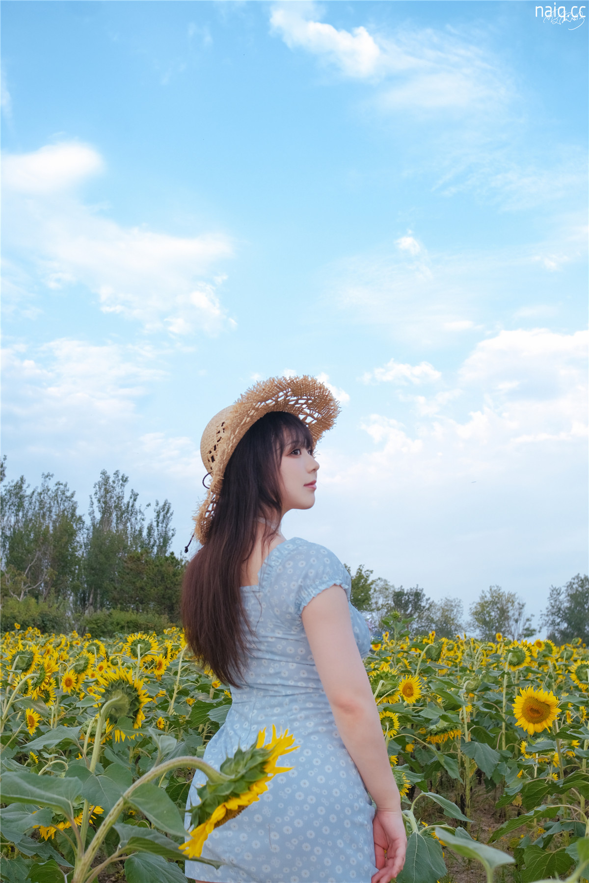 奶圈naiq.cc-031.jpg