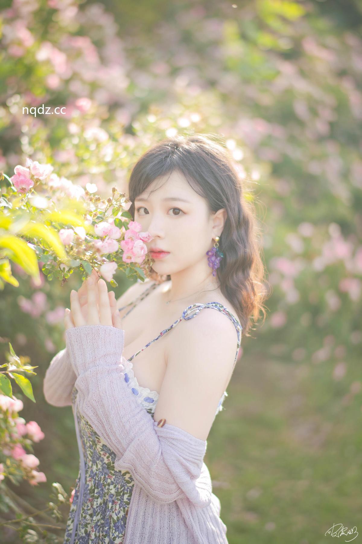 皮皮奶可可爱了啦 - 蔷薇花 [37P-787MB] - 奶圈